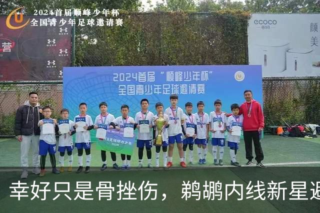 幸好只是骨挫伤，鹈鹕内线新星避免了重大伤病的发生？