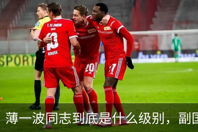 薄一波同志到底是什么级别，副国级？还是正国级？