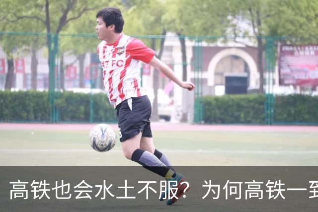 高铁也会水土不服？为何高铁一到山东境内，速度就会慢下来？